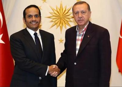 تحولات سوریه و لیبی، محور ملاقات اردوغان و وزیر خارجه قطر
